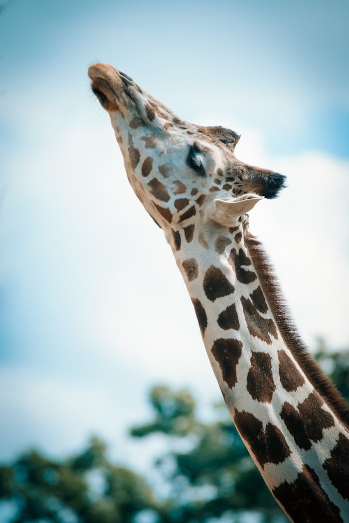 social-feed-img-01